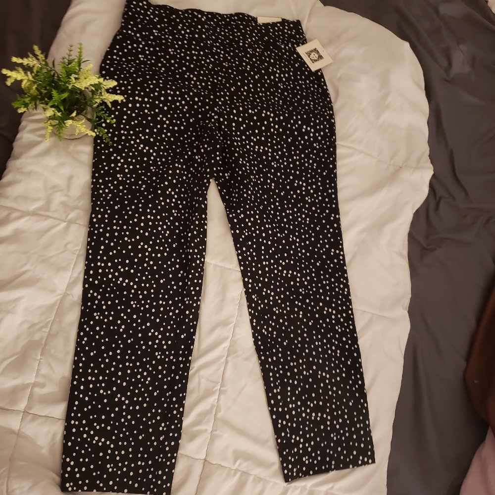 Pants, anne klein pants, women pants.